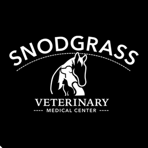 Team Page: Snodgrass Veterinary Medical center